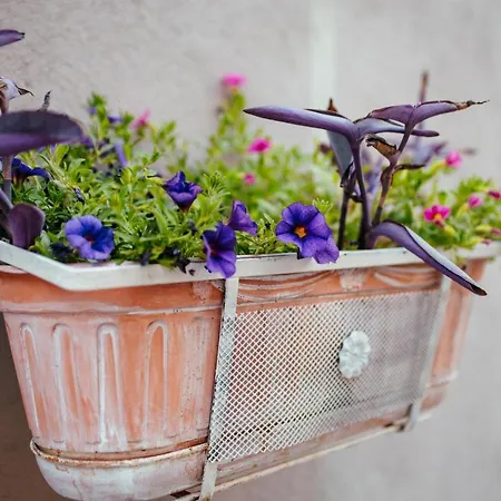 Venusuite - Luxury House, & Relax - 펜션 *