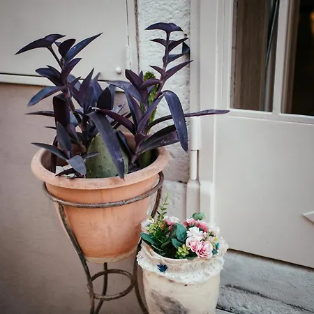 Venusuite - Luxury House, & Relax -