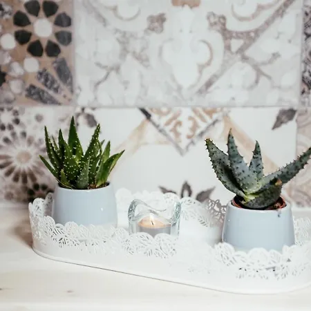 Venusuite - Luxury House, & Relax - 펜션 베노사