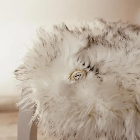 Venusuite - Luxury House, & Relax - 펜션